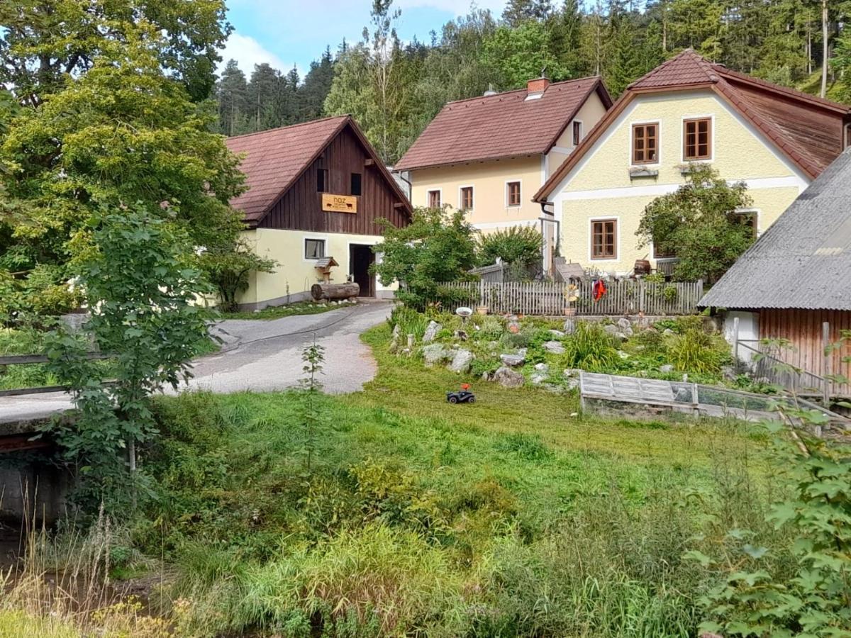 Apartment Nazbauerhof Rohr im Gebirge Extérieur photo
